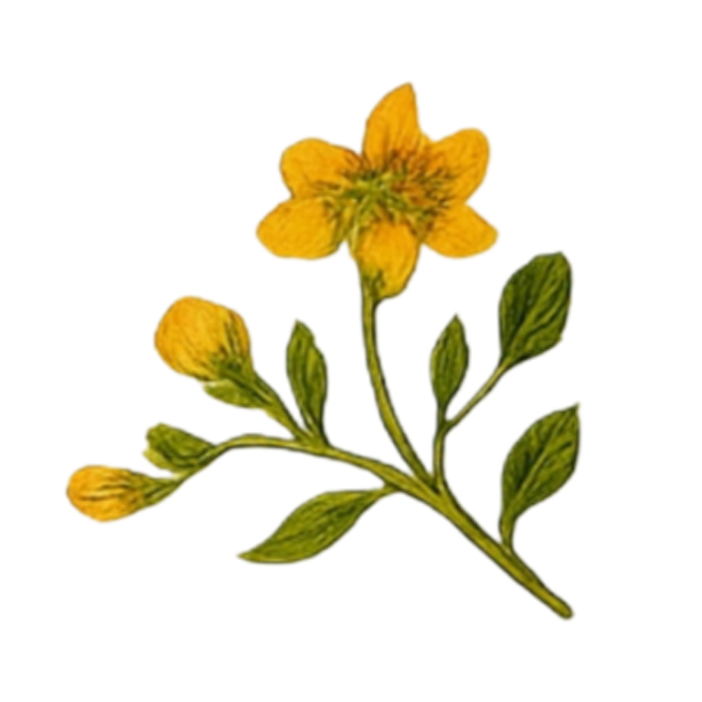 Ayurvedic Leaf